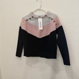 Maje Pink and Navy Sweater